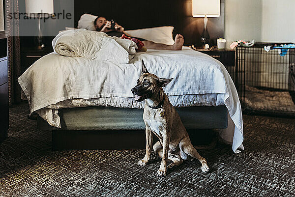 Porträt eines jungen Deutschen Schäferhund-Mixes mit Knochen in einem Hotelzimmer