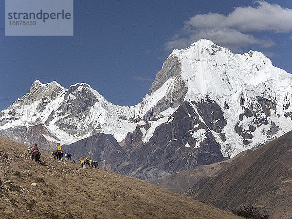 Eine Gruppe von Trägern mit Pferden reitet auf einem Weg am Nevado Yerupajá