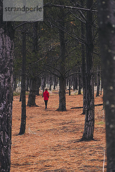 Junge Frau im Wald bei Okains Bay  Banks Peninsula  NZ