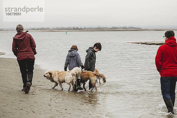 Familie geht mit Hunden am Ufer spazieren