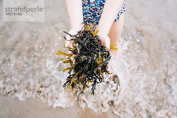 Kind mit Algen aus dem Meer am Strand im Sommer