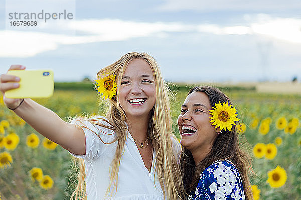 Ein paar attraktive junge Frauen  eine blond und die andere brünett  posieren in ihren Designerkleidern in einem Sonnenblumenfeld und benutzen dabei ihr Smartphone