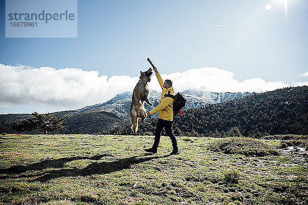 Junger Mann mit gelber Jacke und Rucksack spielt mit deutschem Schäferhund in den Bergen.