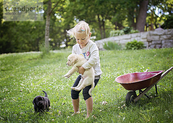 Kleines Mädchen spielt mit Lab-Welpen im Hof