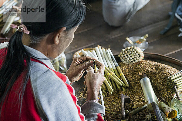 Frau bei der Herstellung von birmanischen Zigarren in einer Werkstatt für Zigarren aus Stachelbeeren  Inle-See  Myanmar