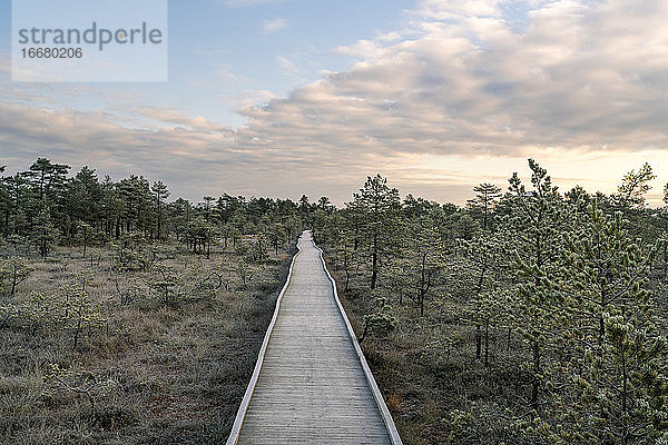 Wanderweg in Viru Raba oder Moor im Lahemaa-Nationalpark im Herbst