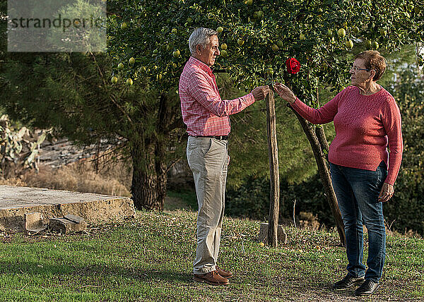 Romantisches älteres Paar mit Blumen im Garten
