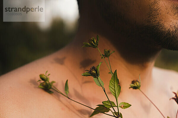 Blütenknospen auf der nackten Haut eines Mannes  Konzept der Zärtlichkeit