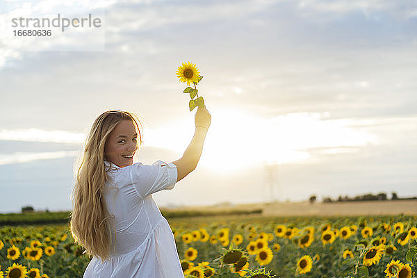Junge attraktive blonde Frau posiert in ihrem Designerkleid in einem Sonnenblumenfeld