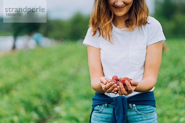 Frau hält reife rote Erdbeeren auf einer U-Pick-Farm in Washington
