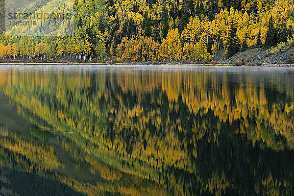 Spiegelung von Herbstbäumen auf ruhigem See