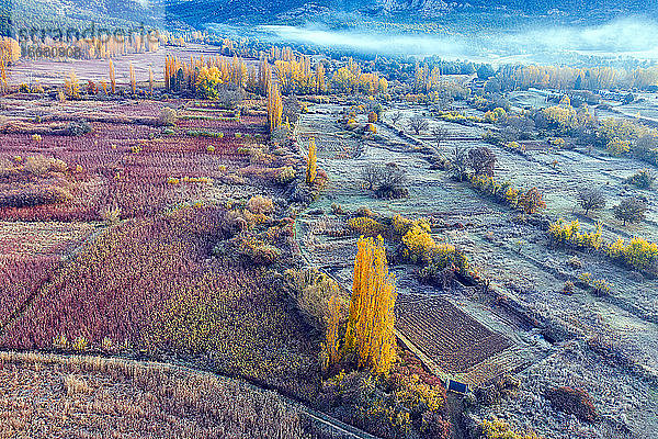 Spanien  Cuenca  Weidenanbau in Canamares im Herbst