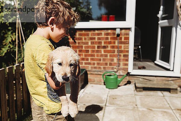Junge hält Golden Retriever Labrador Welpe im Hof