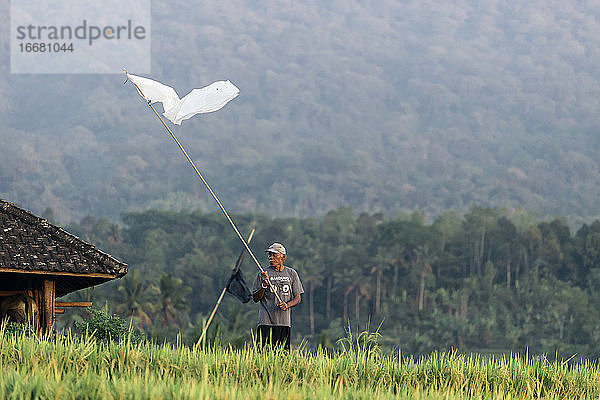 Mann in Reisfeldern  Bali  Indonesien