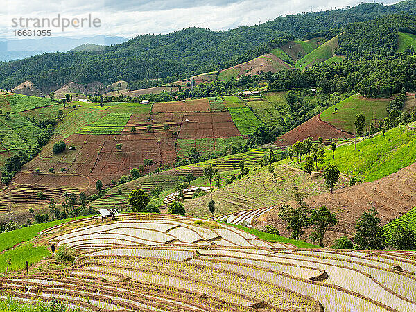 Landwirtschaftliches Berggebiet und Reisterrassen