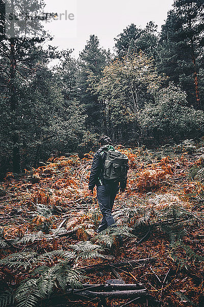 Mann geht zwischen einem Kiefernwald mit Rucksack