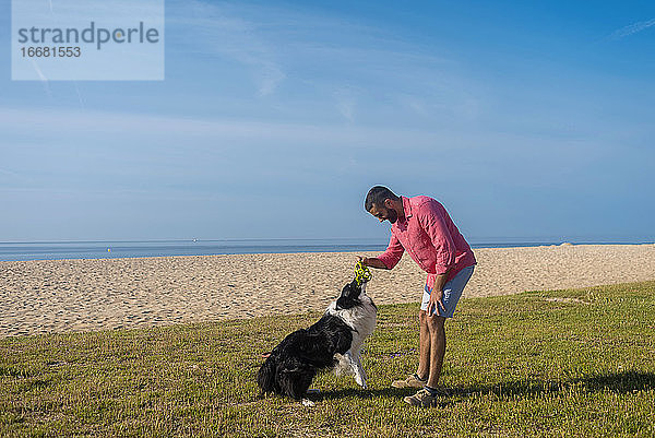 Bärtiger Mann spielt mit Hund am Strand in sonnigen Tag