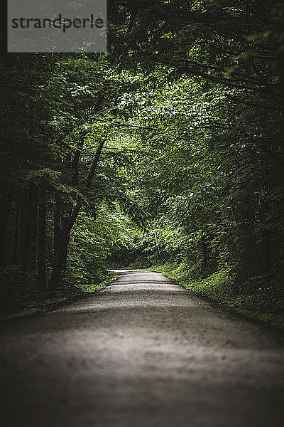 Schotterstraße durch einen üppigen grünen Wald im National Forest in Maine.