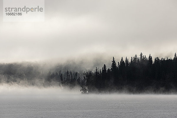 Dichter Nebel über ruhigem See und baumbestandenem Ufer bei Sonnenaufgang