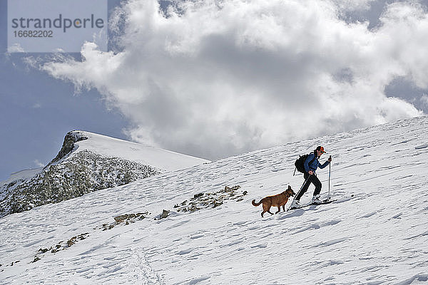 Eine Frau erklimmt an einem sonnigen Tag in Colorado mit ihrem Hund den Mount Sopris.