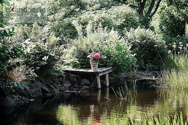 schöne Blumen und Bäume in einem Topf draußen am Fluss im Sommer