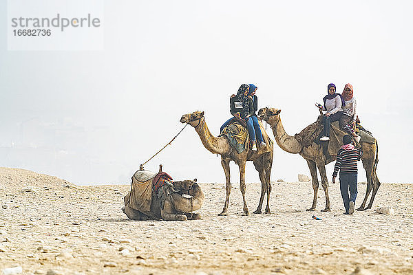 Kamelritte durch die ägyptische Wüste
