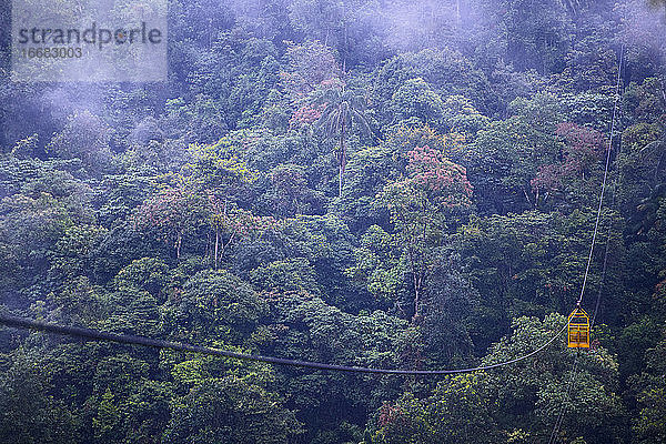 Seilbahn im Regenwald in Mindo  in der Nähe des Äquators  Ecuador