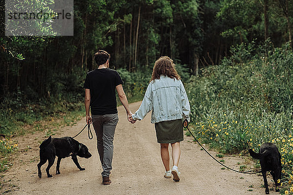 Rückansicht eines Paares  das auf einem Waldweg mit angeleinten Hunden spazieren geht