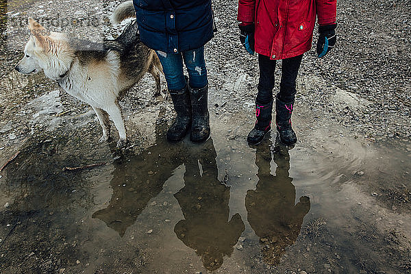 Mädchen Reflexionen stehen in Pfütze mit Haustier Hund