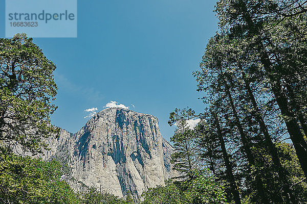 Ansichten des Yosemite National Park im Sommer in Nordkalifornien.