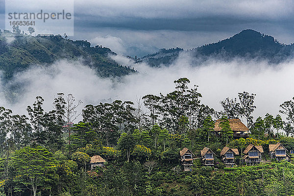 Häuser einer Tee-Lodge oberhalb von Ella in Sri Lanka