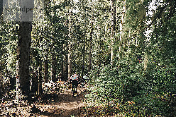 Zwei Biker fahren auf den Wegen eines Bikeparks am Mt. Hood  Oregon.