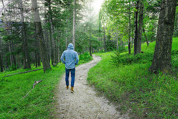 Mann wandernd auf Naturpfad in Wäldern Wald