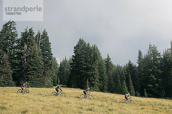 Vier Biker fahren durch eine Wiese am Mt. Hood  Oregon