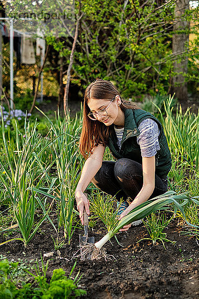 Frau arbeitet auf dem Boden und baut biologische Pflanzen  Obst und Gemüse an