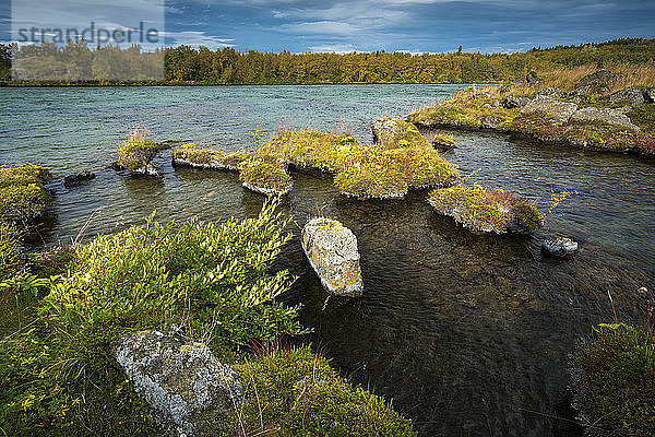 Blick auf den Myvatn-See im Herbst  Nordisland