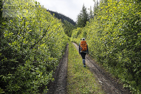 Reisende  die bei einer Wanderung einen Pfad durch einen üppigen grünen Wald entlanggehen