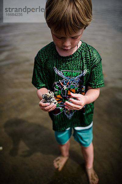 Nahaufnahme eines sechsjährigen Jungen mit Muscheln in Coronado