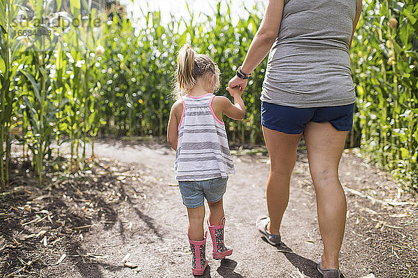 Mutter hält die Hand ihrer kleinen Tochter  die das Maislabyrinth erkundet.