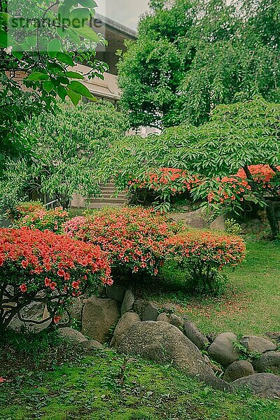 Traditionelle japanische Pflanzen Spring Park