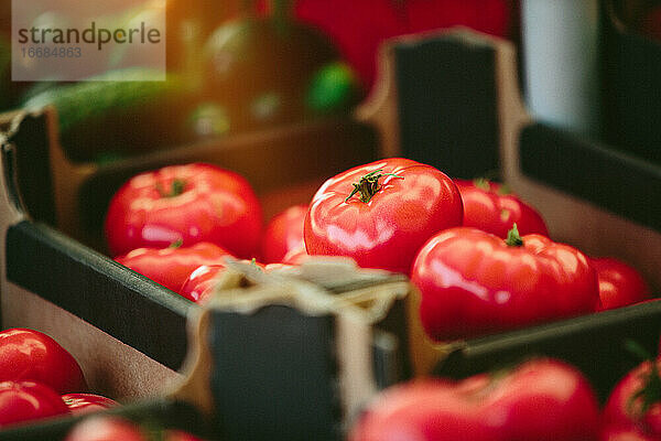 Frische Tomaten auf dem Farmers' Market