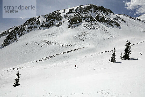 Eine Einzelperson fährt auf dem Mount Sopris in Carbondale  Colorado  Ski
