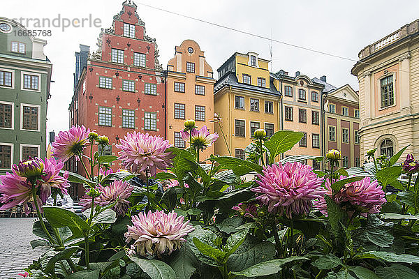 Stortorget in Gamla stan  der alten mittelalterlichen Stadt in Stockholm