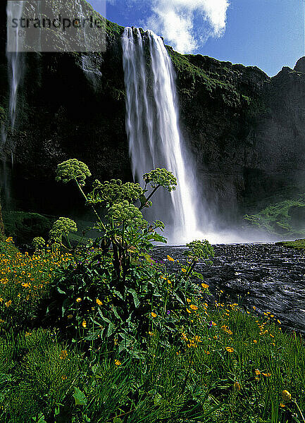 Der Wasserfall Seljalandsfoss im Süden Islands