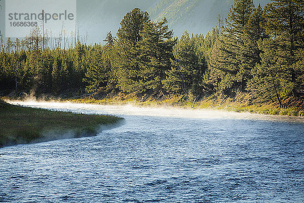 Yellowstone National Park Madison Fluss Morgen Dampf
