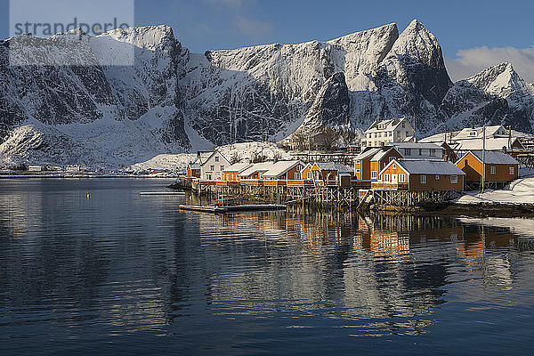 Das Licht des Wintermorgens leuchtet auf die gelben Rorbu-Hütten in Sakrisøy  Moskenesøy  Lofoten  Norwegen
