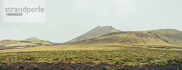Durchnässte  grüne  moosbewachsene isländische Landschaft an einem Sommertag