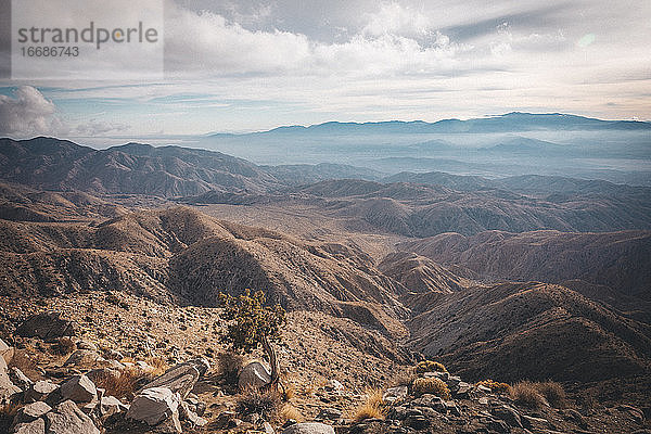 Blick in die Wüste im Joshua Tree National Park  Kalifornien