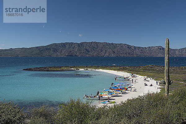 Ein kleiner Strand auf der Insel Coronado  Loreto  Baja California.