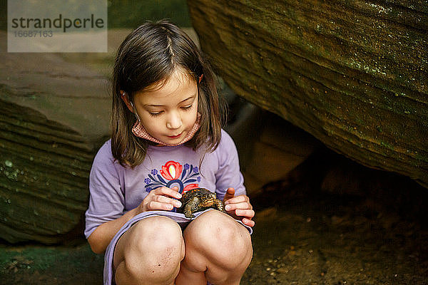 Ein kleines Mädchen schaut zärtlich auf eine kleine bemalte Schildkröte in ihrem Schoß hinunter